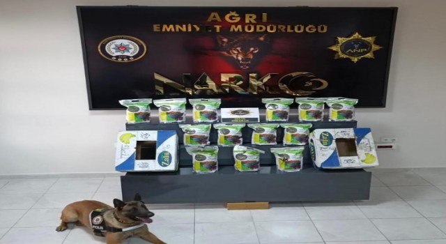 Ağrıda muz kolisinden uyuşturucu çıktı