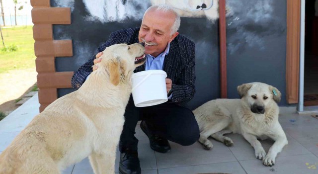 Akdenizde can dostlara özel etkinlik