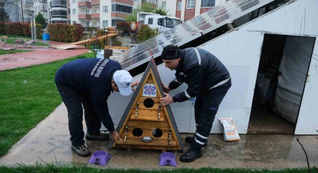 Altıeylülde sokak hayvanları unutulmadı