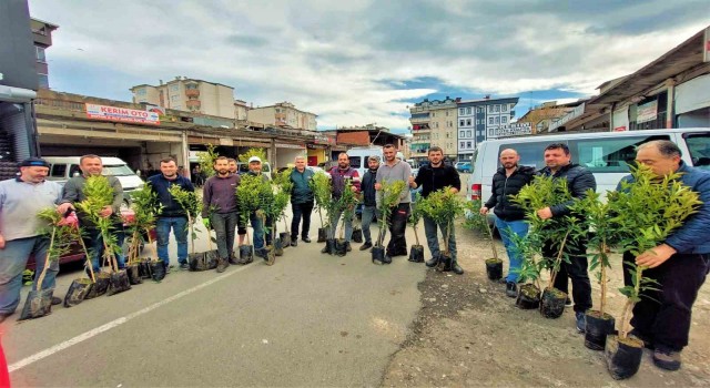 Altınorduda 2 yılda 341 bin fidan toprakla buluşturuldu
