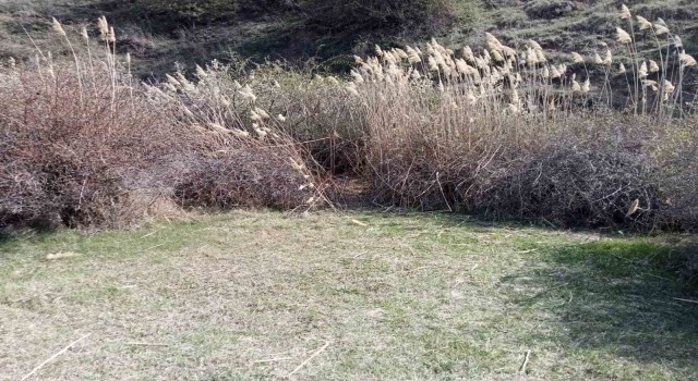 Ankarada kafası koparılmış 45 günlük ceset bulundu