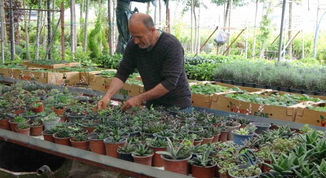 Artan çiçek satışları Hatayda bu sefer yüz güldürmedi