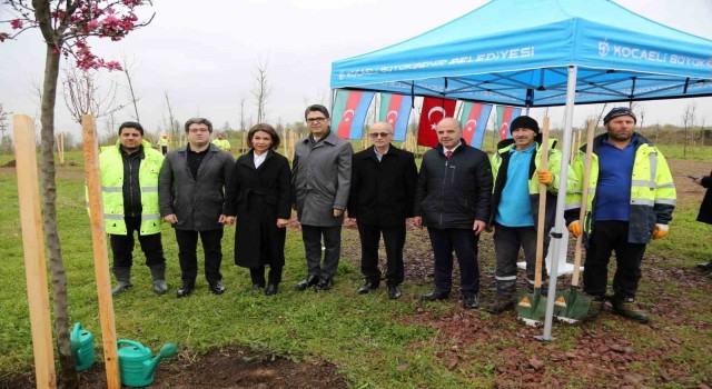 Azerbaycan ve Türkiye Kardeşliği Ormanına Haydar Aliyevin anısına 100 fidan