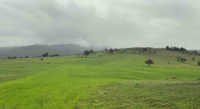 Baharda sisle buluşan Ilgaz Dağının eteklerinde ortaya çıkan manzara mest etti