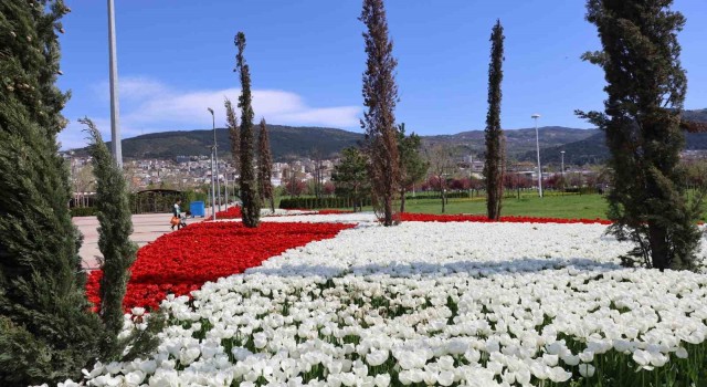 Baharın tüm renkleri Bursayı sardı