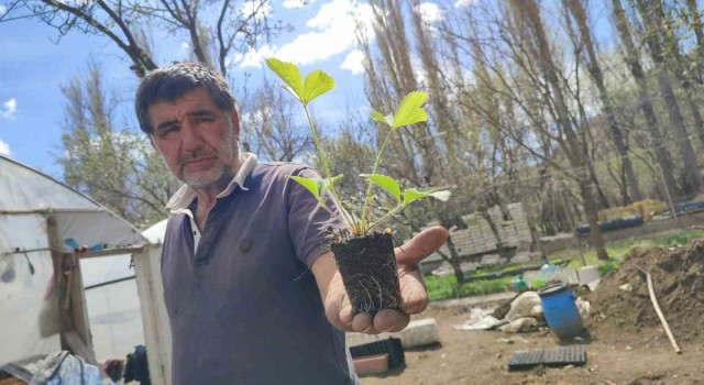 Bahçesinde 300 bin doğal fide üretip Türkiyenin her yerine gönderiyor