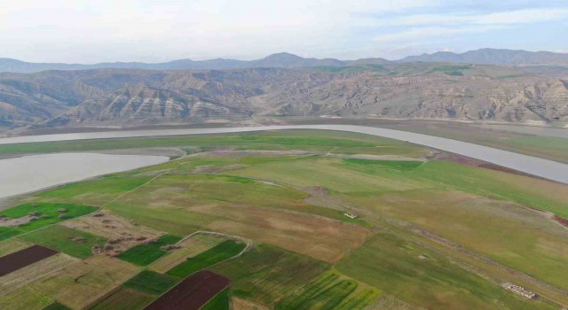 Baraj sahasını eken çiftçiler: Sular gelirse her şey gider