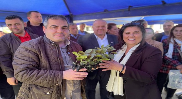 Başkan Çerçioğlu Nazillide fide dağıttı