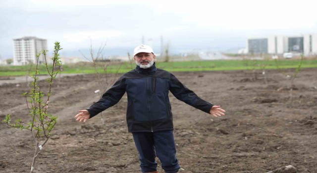 Başkan Çolakbayrakdardan Kayseride yine ilk olan Meyve Bahçeli Park Projesi