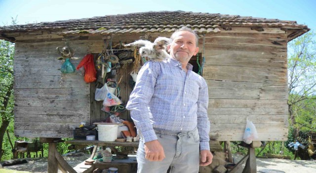 Baykuş ile vatandaşın 20 yıllık dostluğu