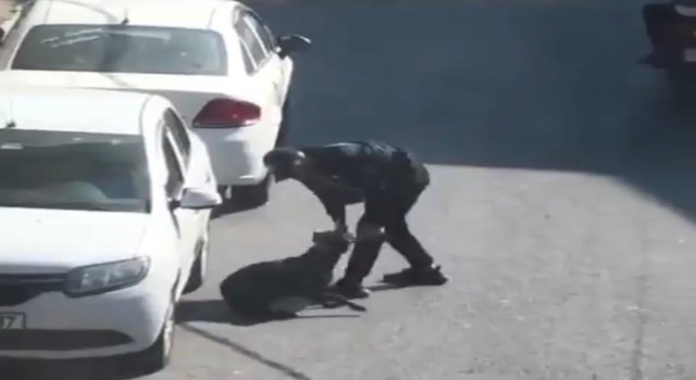 Beyoğlunda köpeğe eziyet eden şahıs gözaltına alındı