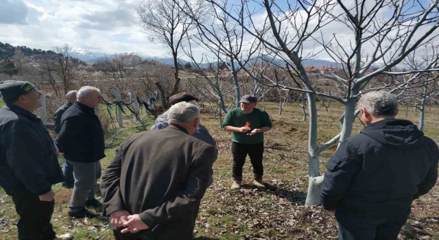 Beyşehirde üreticilere uygulamalı ağaç bakımı eğitimi