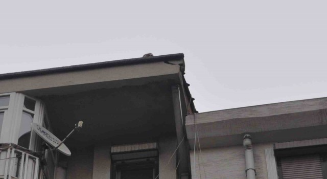 Bina çatısında endişe uyandıran tehlike giderildi