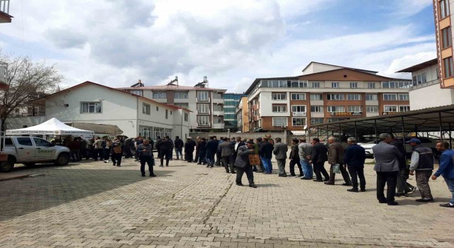 Bingölde 10 bin fidan dağıtıldı
