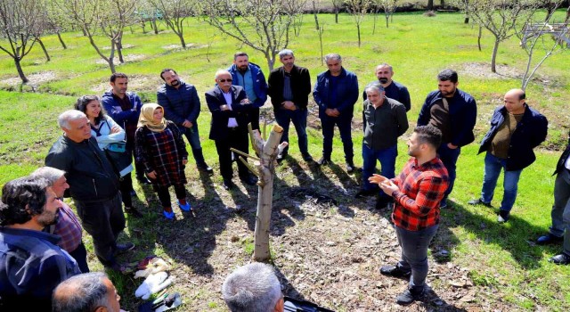 Bingölde ağaç budama ve aşılama eğitimi başladı