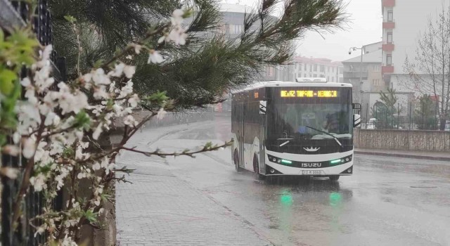 Bingölde kuvvetli sağanak yağış etkili oldu