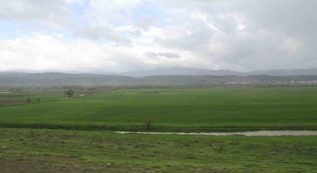 Bingölde sağanak yağış sonrası tarım arazileri incelendi