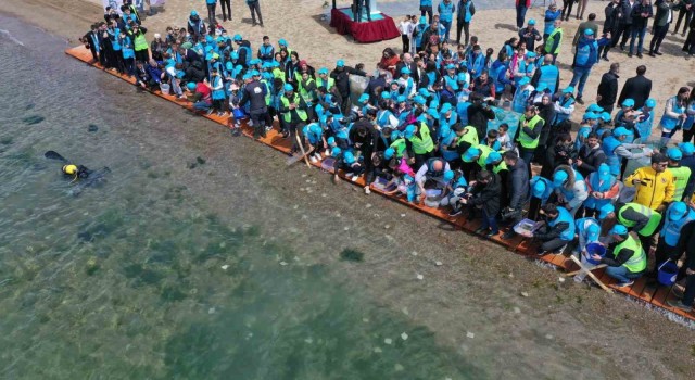 Binlerce yavru balık İzmit Körfezine salındı: Adım adım izlenecekler
