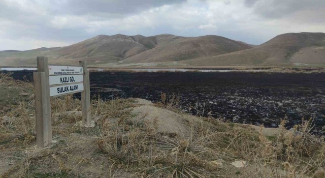 Birçok kuş türüne ev sahipliği yapan Kazlıgöl sazlığı yandı