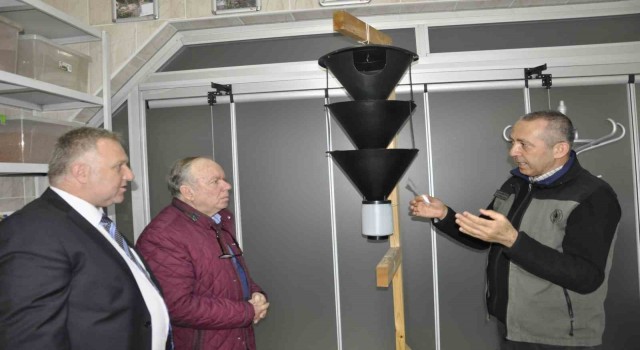 Böcek saldırısına uğrayan Arnavutlukun ormanları, Türkiyeye emanet