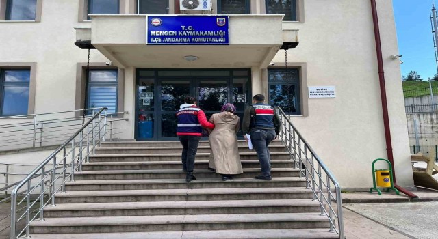 Boluda FETÖ operasyonu: 1 gözaltı