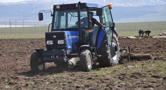 Bulanıkta etkili olan yağışlar çiftçiye umut oldu