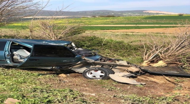 Bursada çarptığı ağaç üzerine düştü, feci şekilde hayatını kaybetti