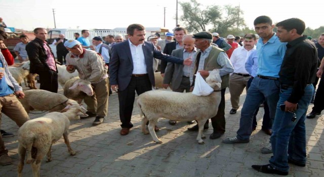 Bursada hayvan pazarları açılıyor
