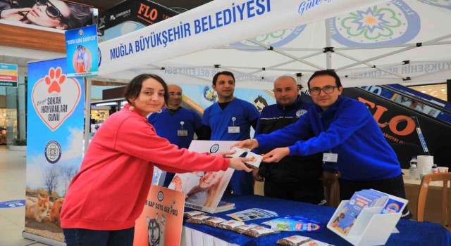 Büyükşehirden ‘Bizim İçin Bir Dost Besler Misin? Kampanyası