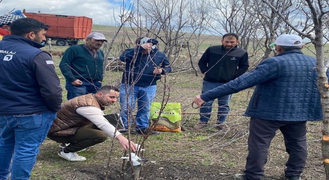 Çıldırda meyve üreticilerine eğitim verildi