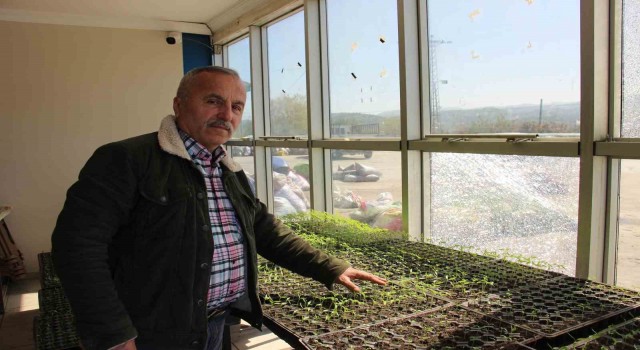 Dedesinden kalma altın değerindeki ata tohumlarını gelecek nesillere aktarıyor