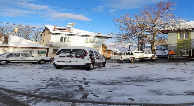 Denizli Nisanı karla karşıladı
