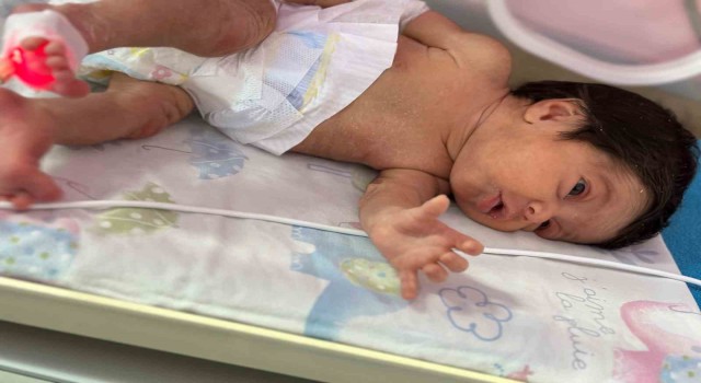 Depremzede Asel bebek, Adanada hayata tutundu