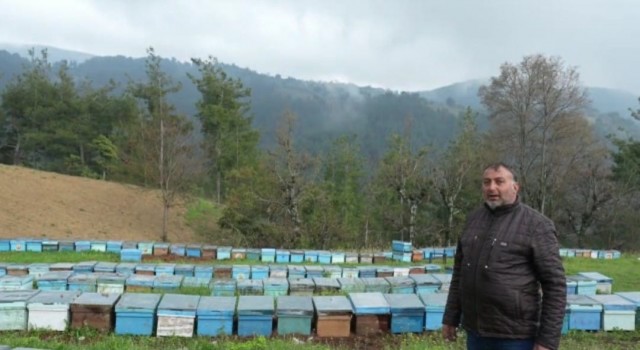 Devletten 30 kovan arı aldı, 230 kovana çıkardı