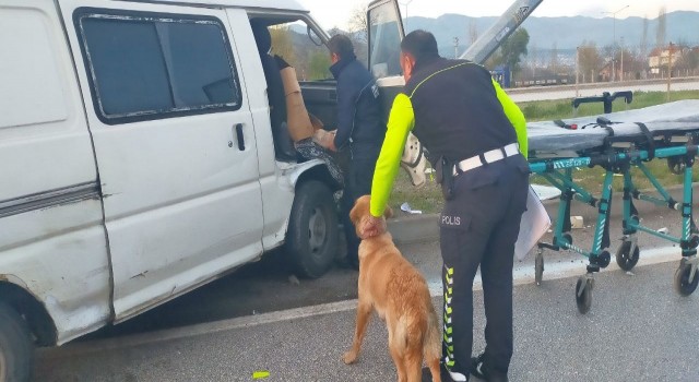 Direğe çarpan aracın içinde sıkışan sürücüyü köpeği yalnız bırakmadı