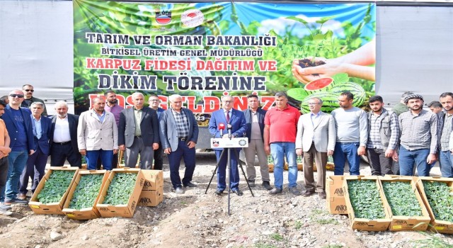 Diyarbakırda 115 bin karpuz fidesi dağıtıldı