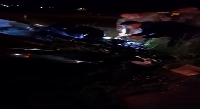 Diyarbakırda otomobil mandalara çarptı: 2 kişi yaralandı, hayvanlar telef oldu