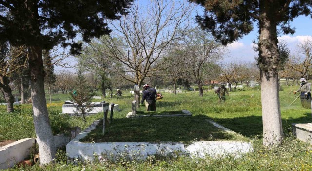 Efelerde mezarlıklar Ramazan Bayramı için hazırlanıyor