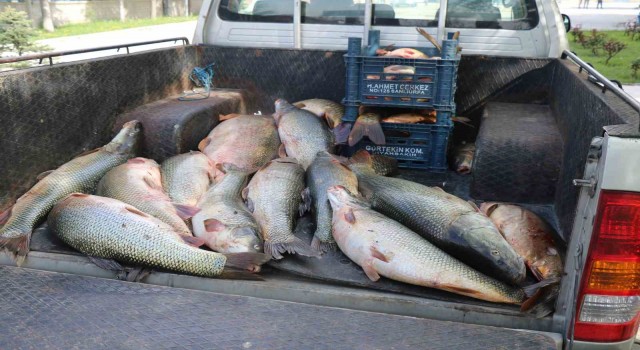 Elazığda kaçak avlanan 2,5 ton balık ele geçirildi