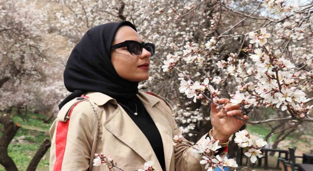 Erzincanda meyve ağaçları çiçek açmaya başladı