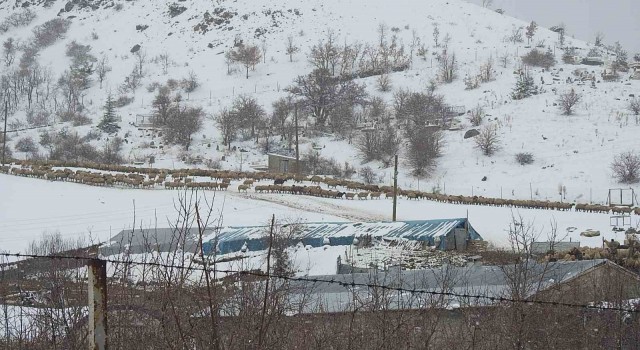 Erzincanın köylerinde kış mesaisi sürüyor