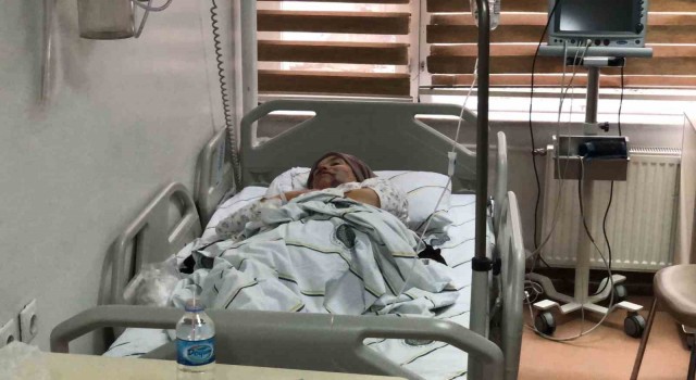 Erzurumda kurt dehşeti: 5 yaralı