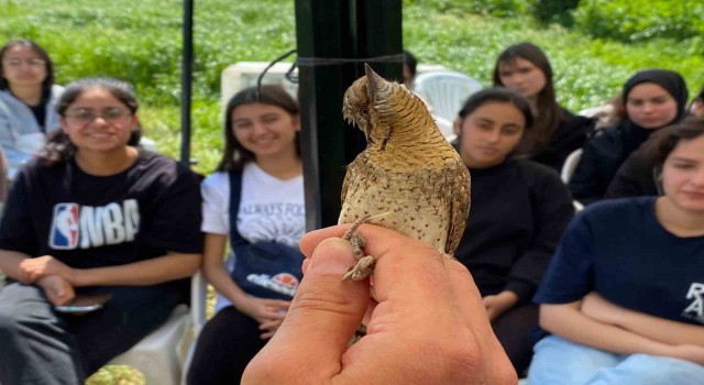 Estonyadan göç ediyordu, Türkiyede ilk kez yakalandı