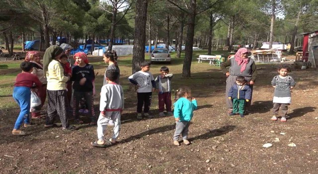 Evleri yıkılan aileler ormanı mesken tuttu: Kendimizi burada güvende hissediyoruz