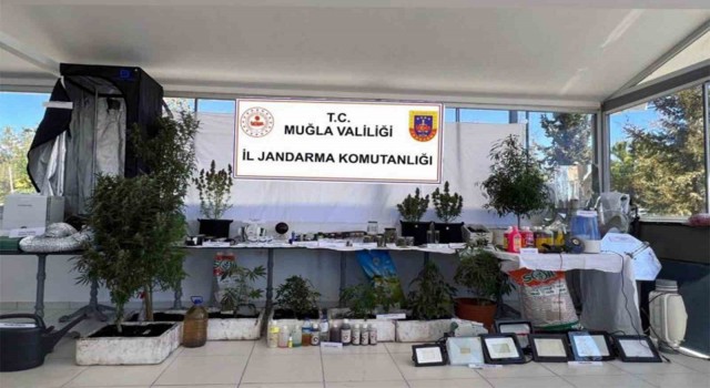 Fethiyede 7 ayrı adrese uyuşturucu operasyonu