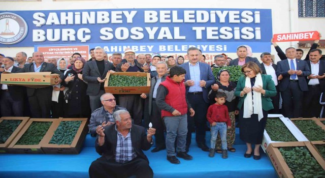 Gaziantepte çiftçiye 11 milyon 500 bin adet fide dağıtıldı