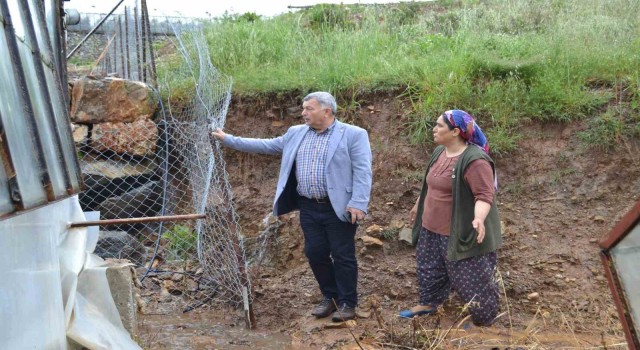 Gazipaşada dere taştı, domates serası sular altında kaldı