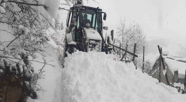 Giresun yaylalarında karla mücadele