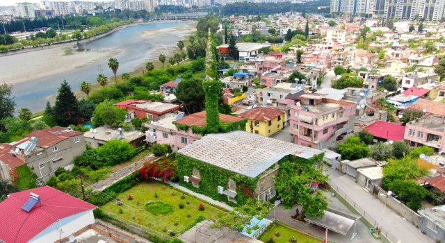 Adana'da Görenlere huzur veren cami bu sene de sarmaşıklarına kavuştu