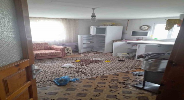 Gümüşhanede ayılar yayla evlerine dadandı